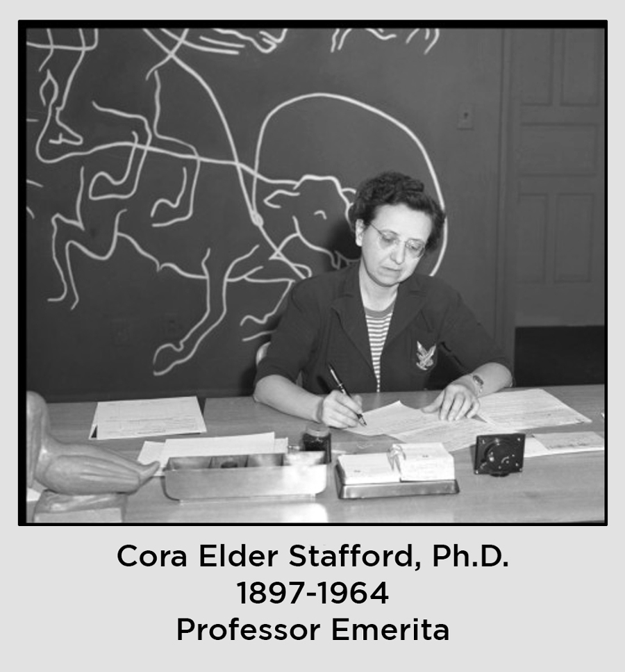 Cora Stafford is looking down as she writes at her desk.